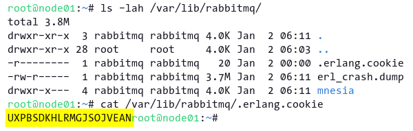 Printing content of the .erlang.cookie file in node01