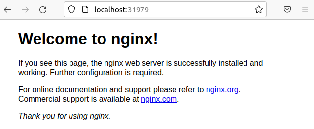 Accessing the NGINX app running inside the pod