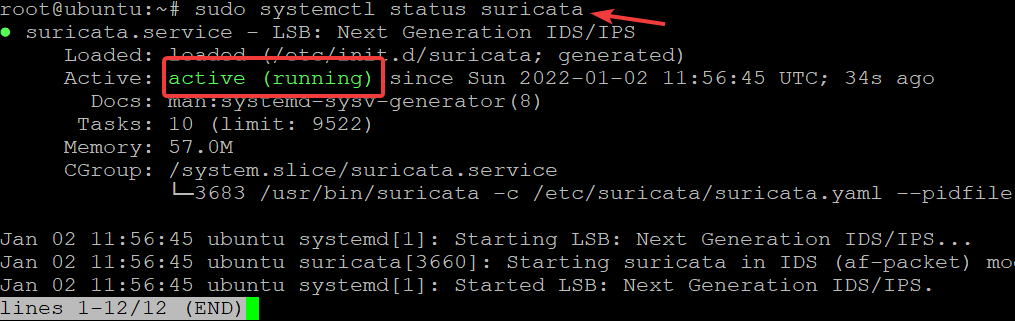 Checking the Suricata service status