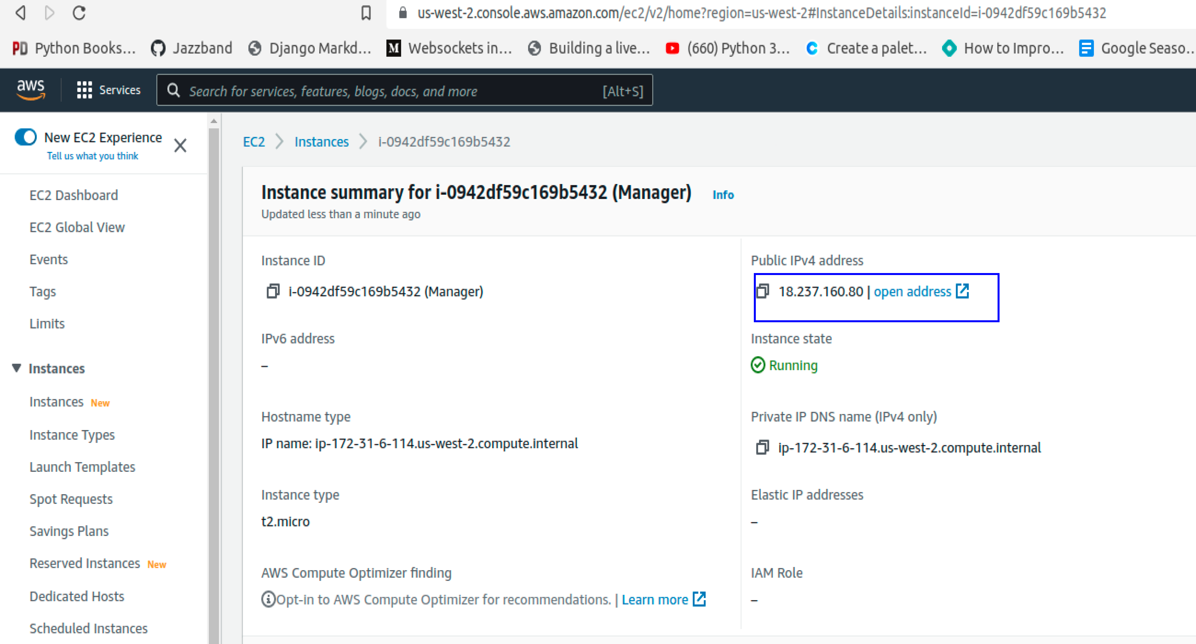 Getting Instance’s Public IPv4 Address from EC2