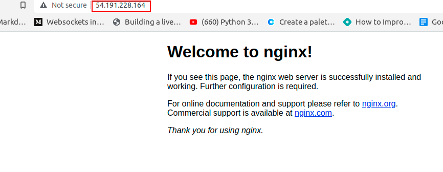 Running NGINX Application