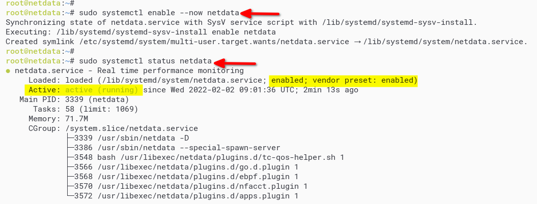Starting, enabling, and verifying Netdata Service