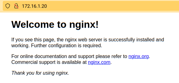 Verifying the NGINX container is running