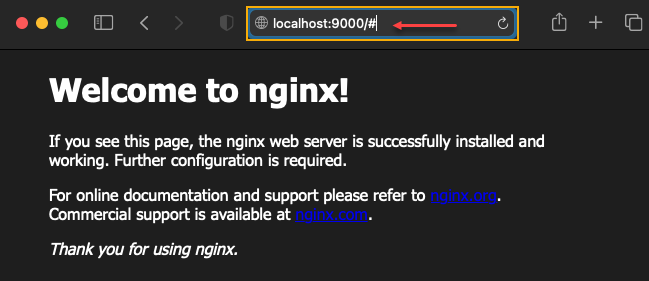 NGINX running on port 9000
