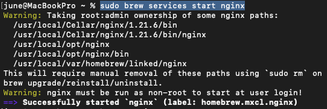 Starting the NGNIX service