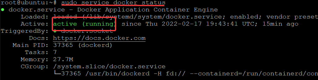 Checking the Docker Service