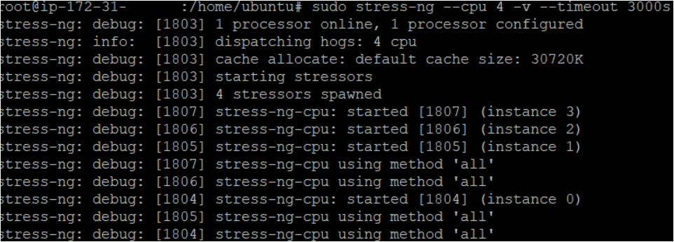 Generating the load on AWS EC2 instance.