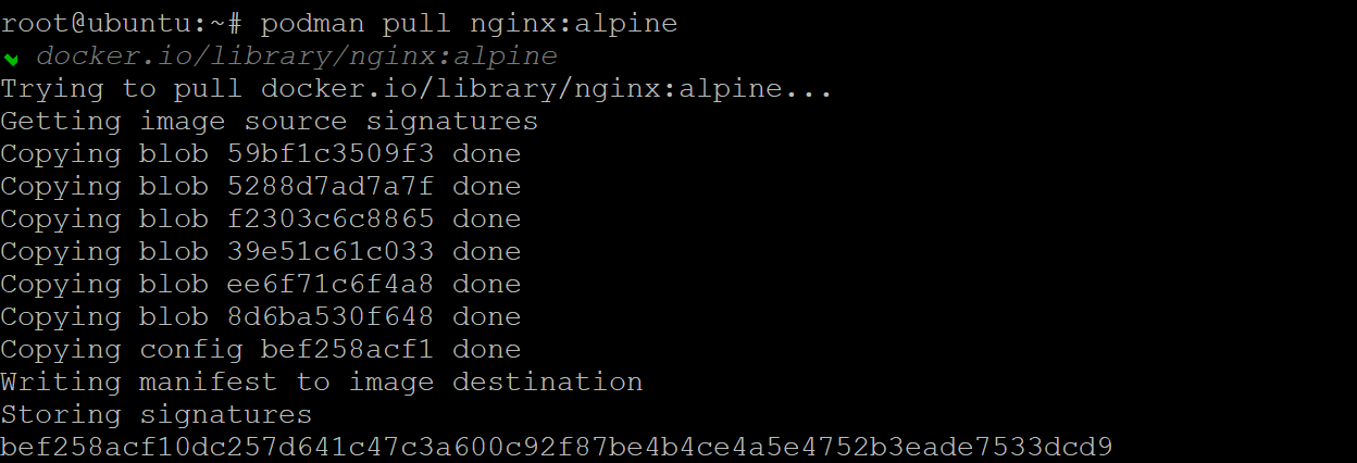 Downloading the NGINX image