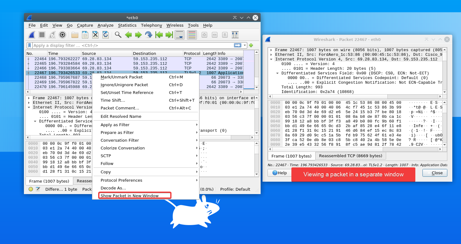 Viewing Packets in an Independent Window