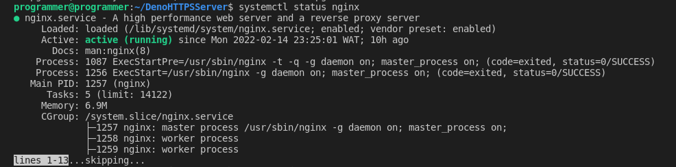 Testing NGINX server 