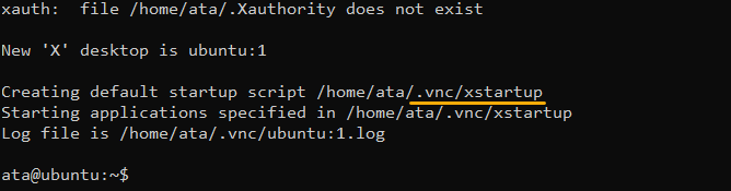 Starting the Ubuntu VNC server instance