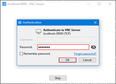 Connecting to the VNC session 