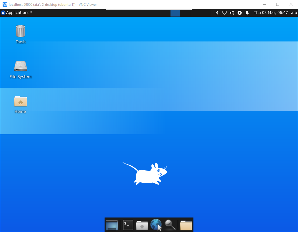 Accessing the remote desktop via VNC