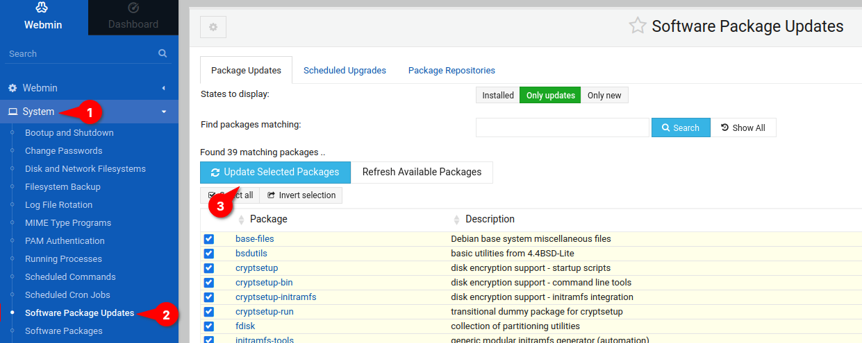 Updating Packages from Webmin