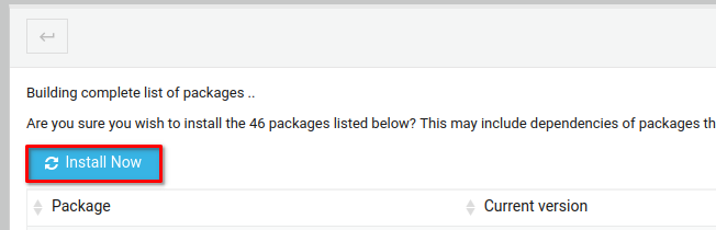 Confirming package updates 