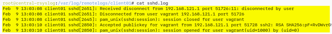 Verifying Logs from client01 machine on the Rsyslog Server