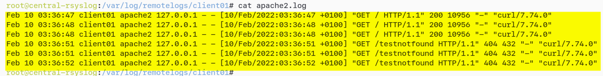 Viewing Syslog Message-converted Logs Received from the client01 Machine