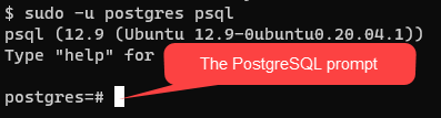 Accessing the PostgreSQL prompt