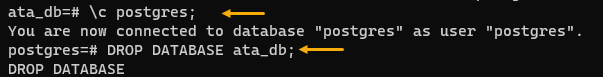 Drop Database