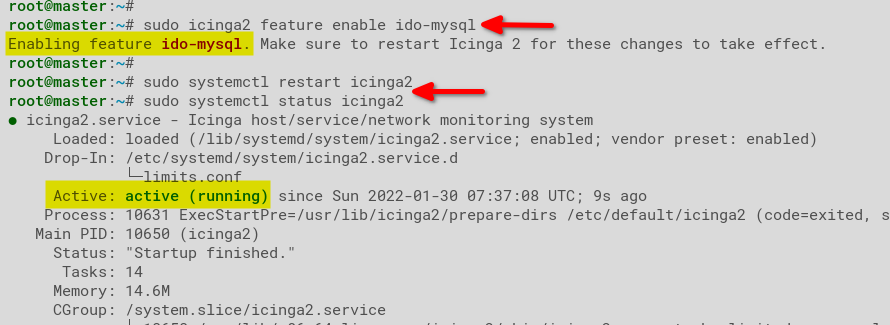 Restarting and Verifying the icinga2 Service