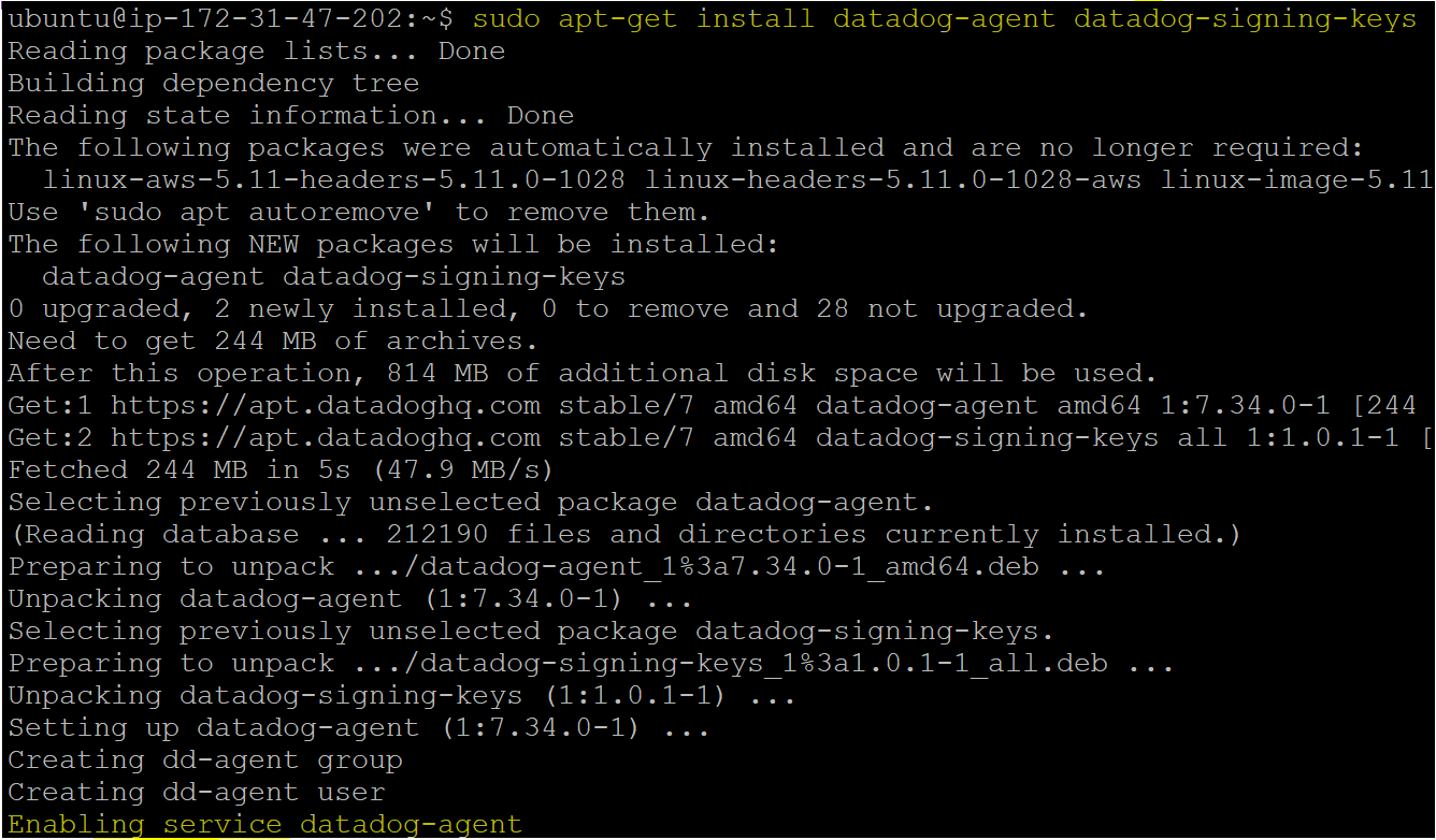 Installing the Datadog agent package on an ubuntu machine