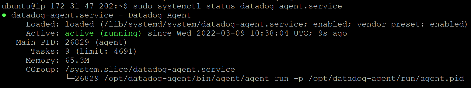 Starting the Datadog agent service on ubuntu service 