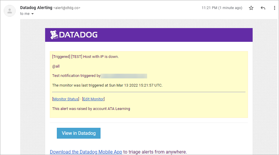 Verifying the Datadog notification email message