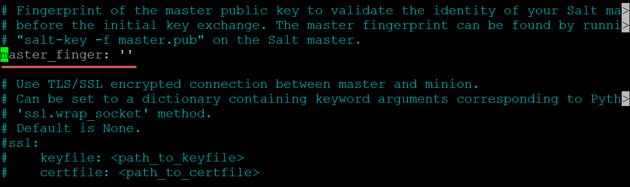Looking for master_finger in the /etc/salt/minion Configuration File