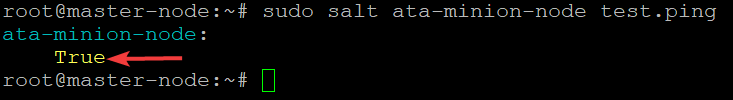 Testing if the Salt minion Communicates with the Salt master