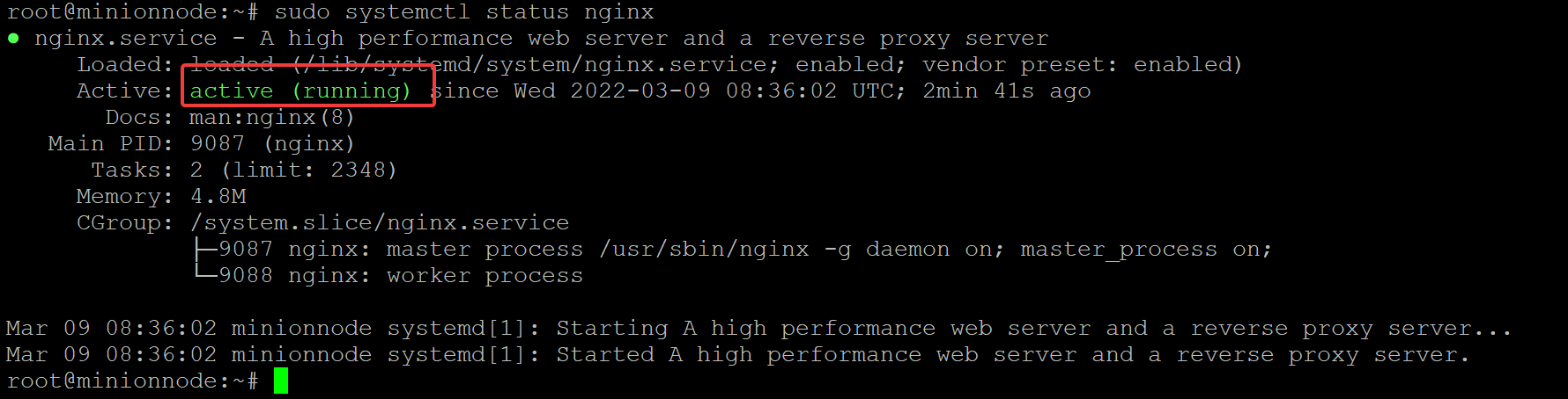 Checking the NGINX Web Server Status