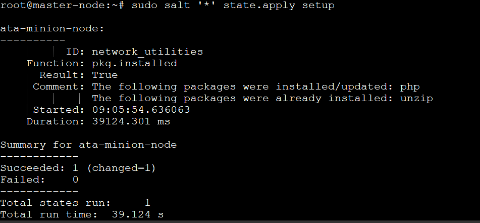 Applying the State File (setup.sls)