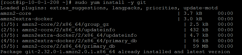Installing Git on your system