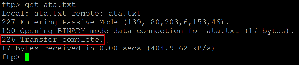 Downloading the ata.txt file from the FTP server to a local machine