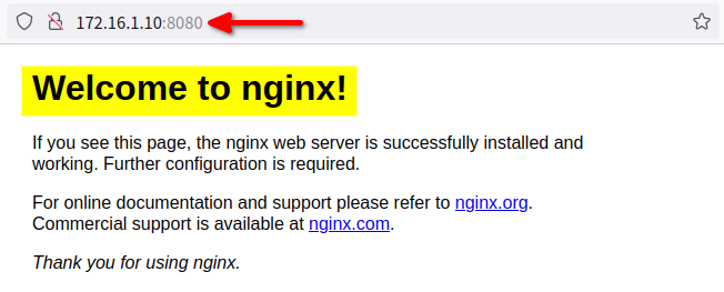 Accessing nginx_container via a Web Browser