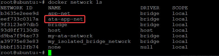 Listing the Host’s Bridge Networks
