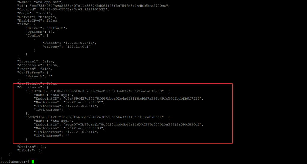 Up your DevOps Game With These Docker Run Example