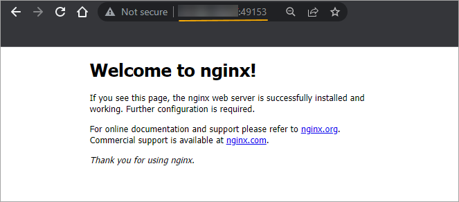 Accessing the NGINX web server container