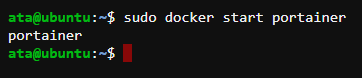 Starting the Docker Portainer container
