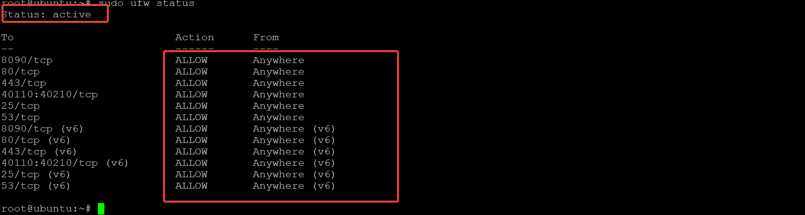 Checking UFW Firewall Status