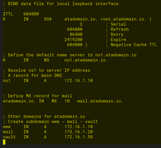 Configuring Forward Zone BIND