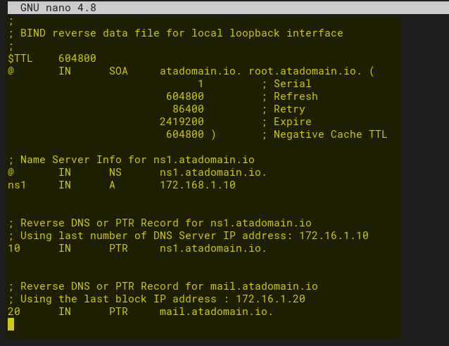 Configuring Reverse Zone BIND