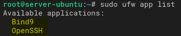 Listing Available Applications on the UFW Firewall