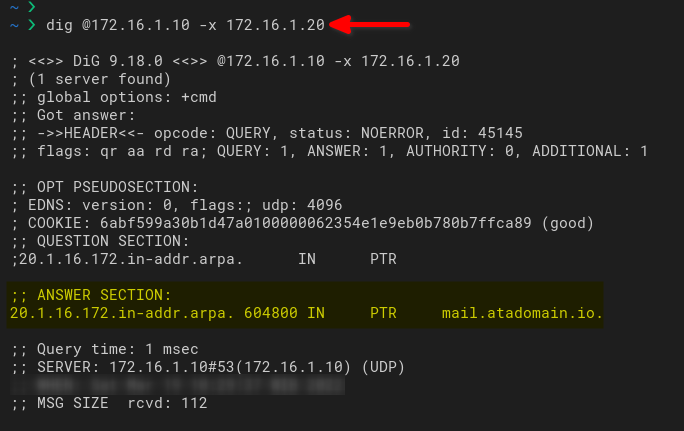 Checking PTR record for IP address 172.16.1.20