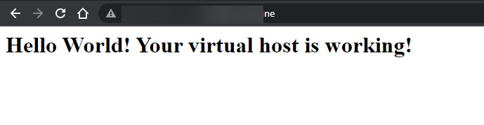 Accessing the Hosted Website