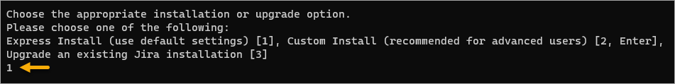 Selecting the Express Install option
