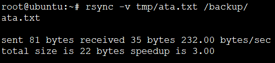 Copying a File to a New Location (Locally) in this Rsync Example