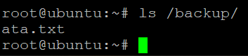 Verifying the ata.txt file Exists in the /backup Directory