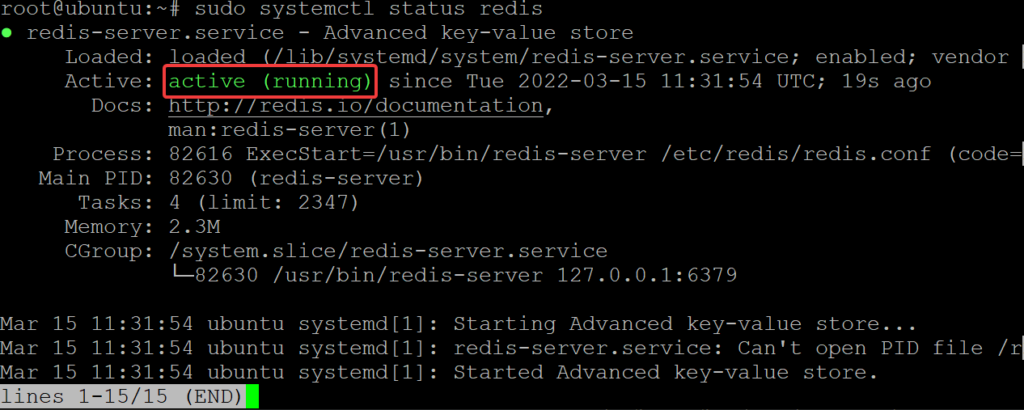 Redis Sorted Sets Made Easy: A Step-by-Step Management Guide