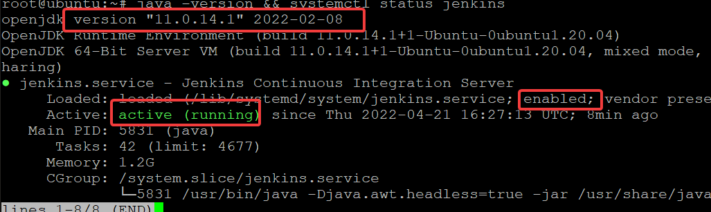 Checking Java version and Jenkins status