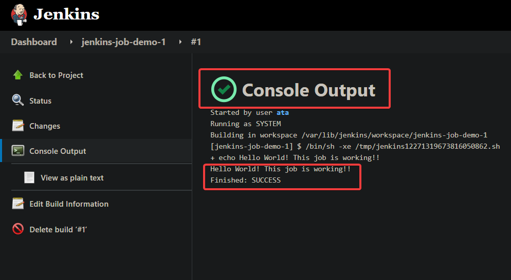 Viewing Console Output